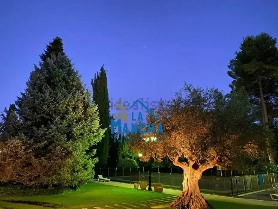 Xalet amb piscina en venda a Calle MAGNOLIO, imagen 7