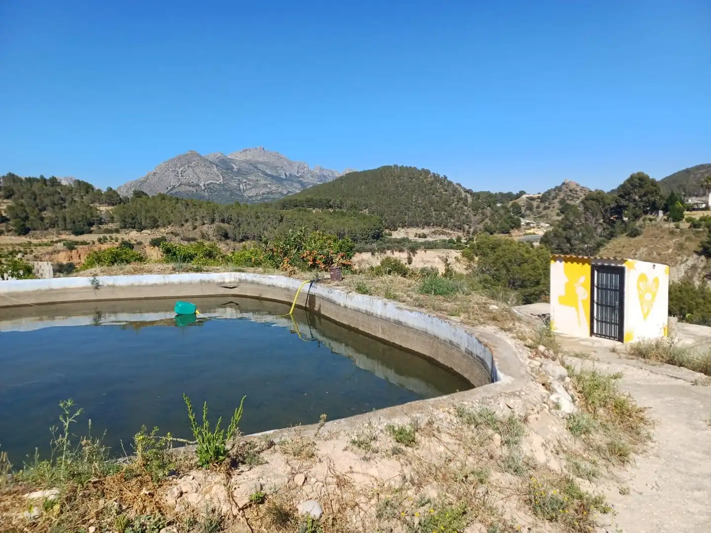Rural land for sale in Callosa d'en Sarrià, imagen 27