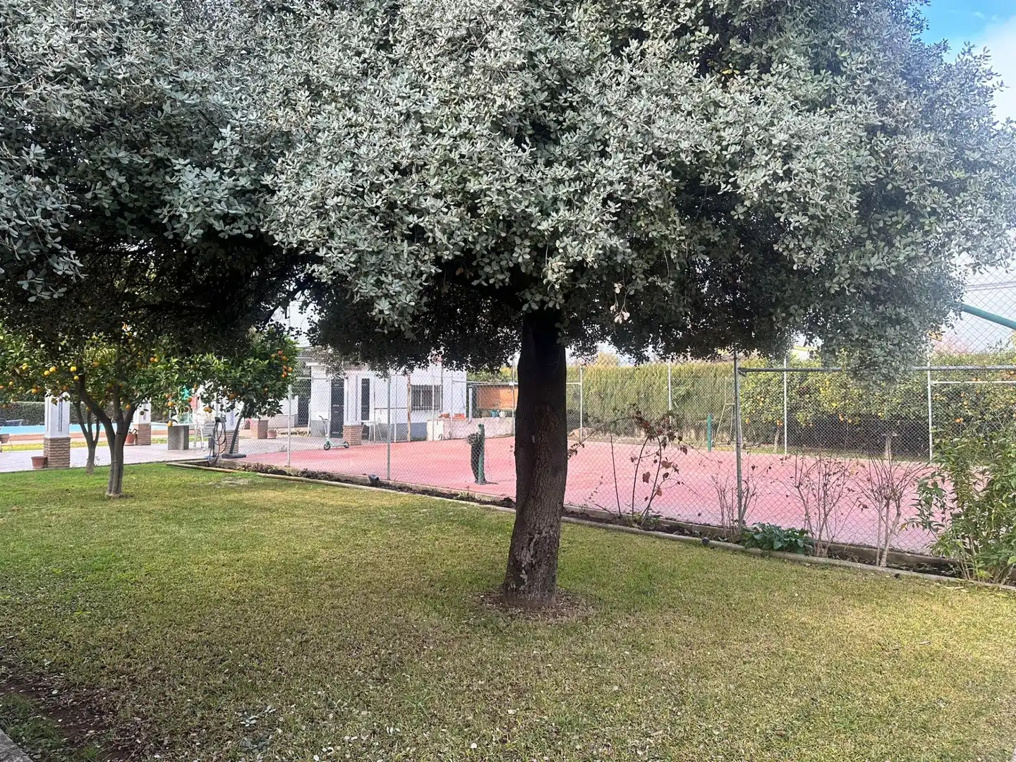 Houses for sale in Villarrubia