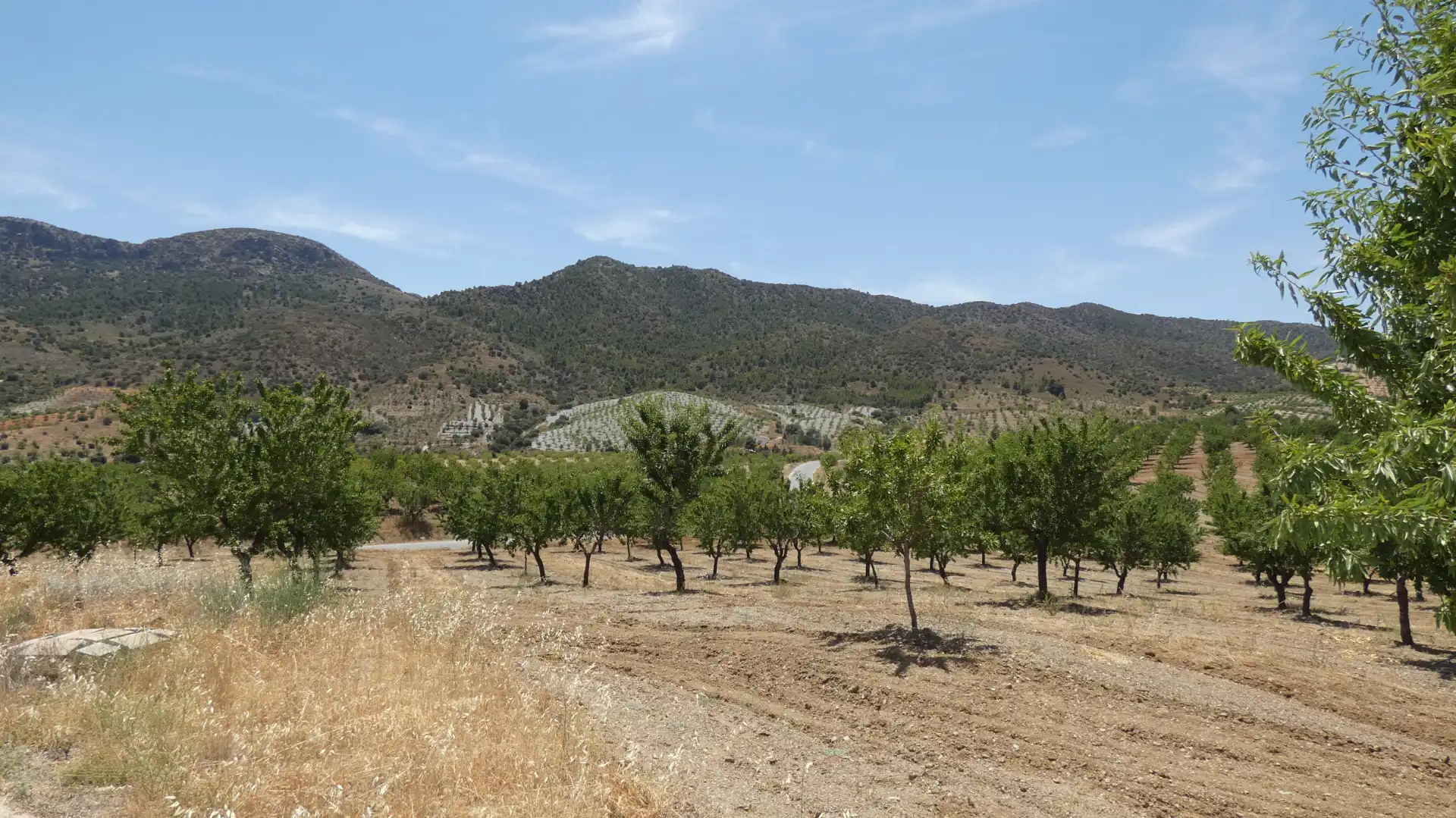Finca rústica en venta en Vélez-Rubio con Calefacción, Jardín privado y Amueblado