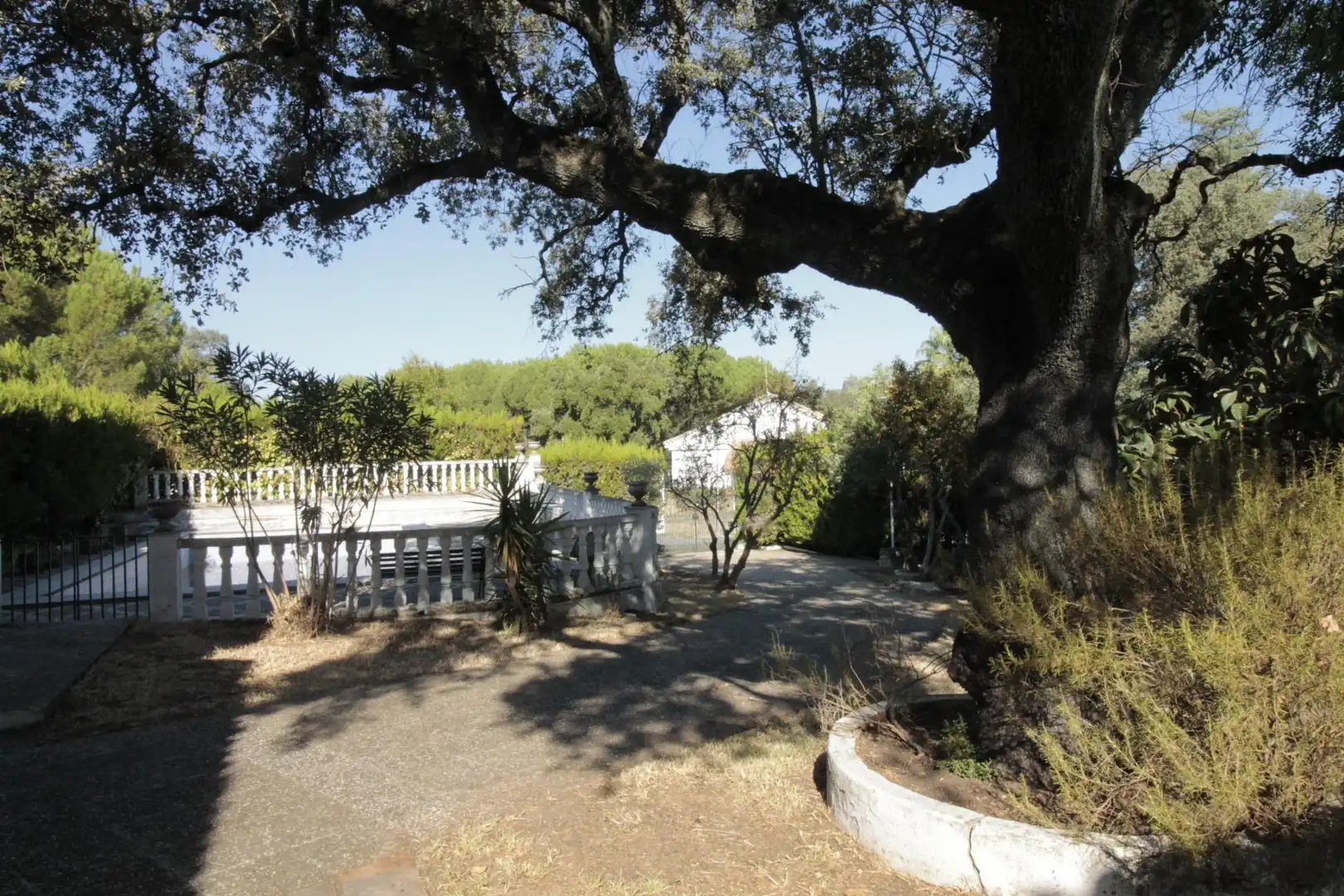 Jardín de Casa o chalet en venta en El Castillo de las Guardas con Jardín privado, Trastero y Piscina