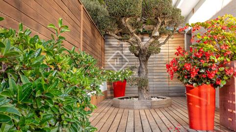 Photo 2 of House or chalet for sale in Montgó, L'Escala