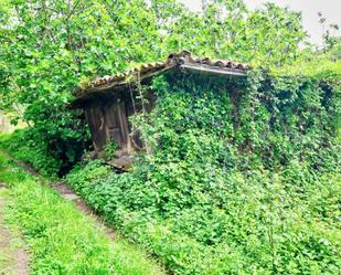 Vista exterior de Casa o xalet en venda en Mieres (Asturias) amb Piscina