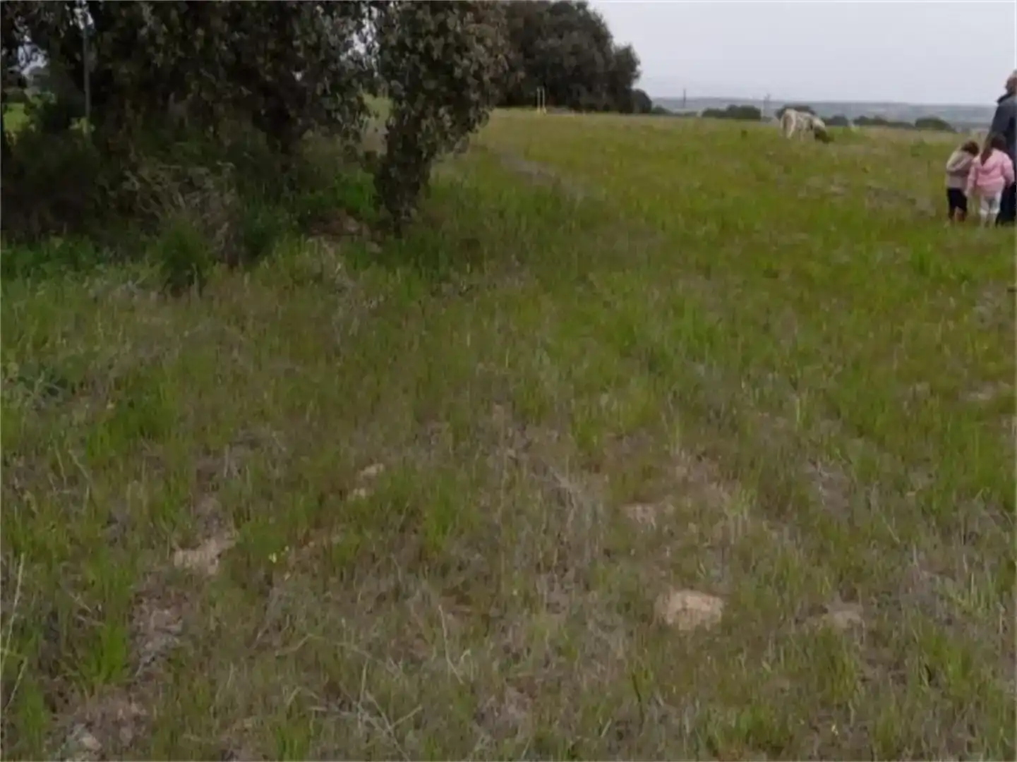 Land for sale in Escalona, Toledo