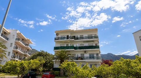 Photo 3 of Flat for sale in Els Grecs - Mas Oliva, Roses