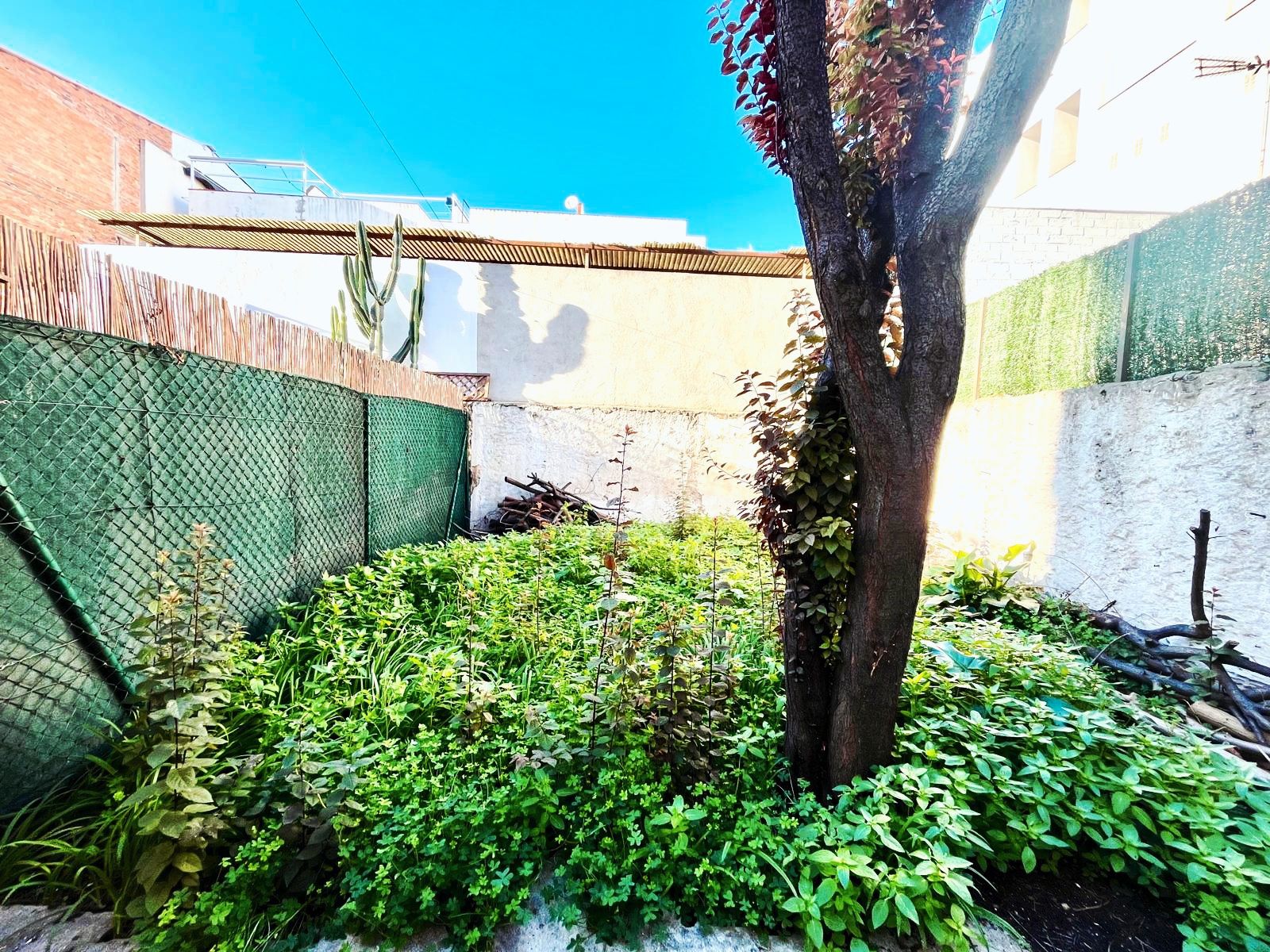 Garden of Planta baja for sale in Montgat  with Private garden and Balcony