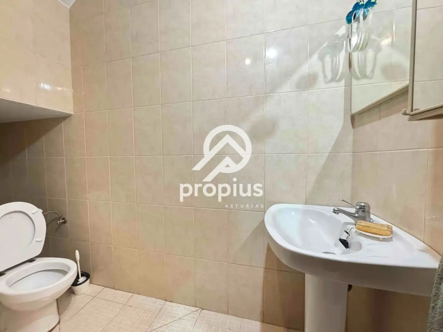 Baño de Casa o chalet en venta en Avilés con Calefacción, Jardín privado y Parquet