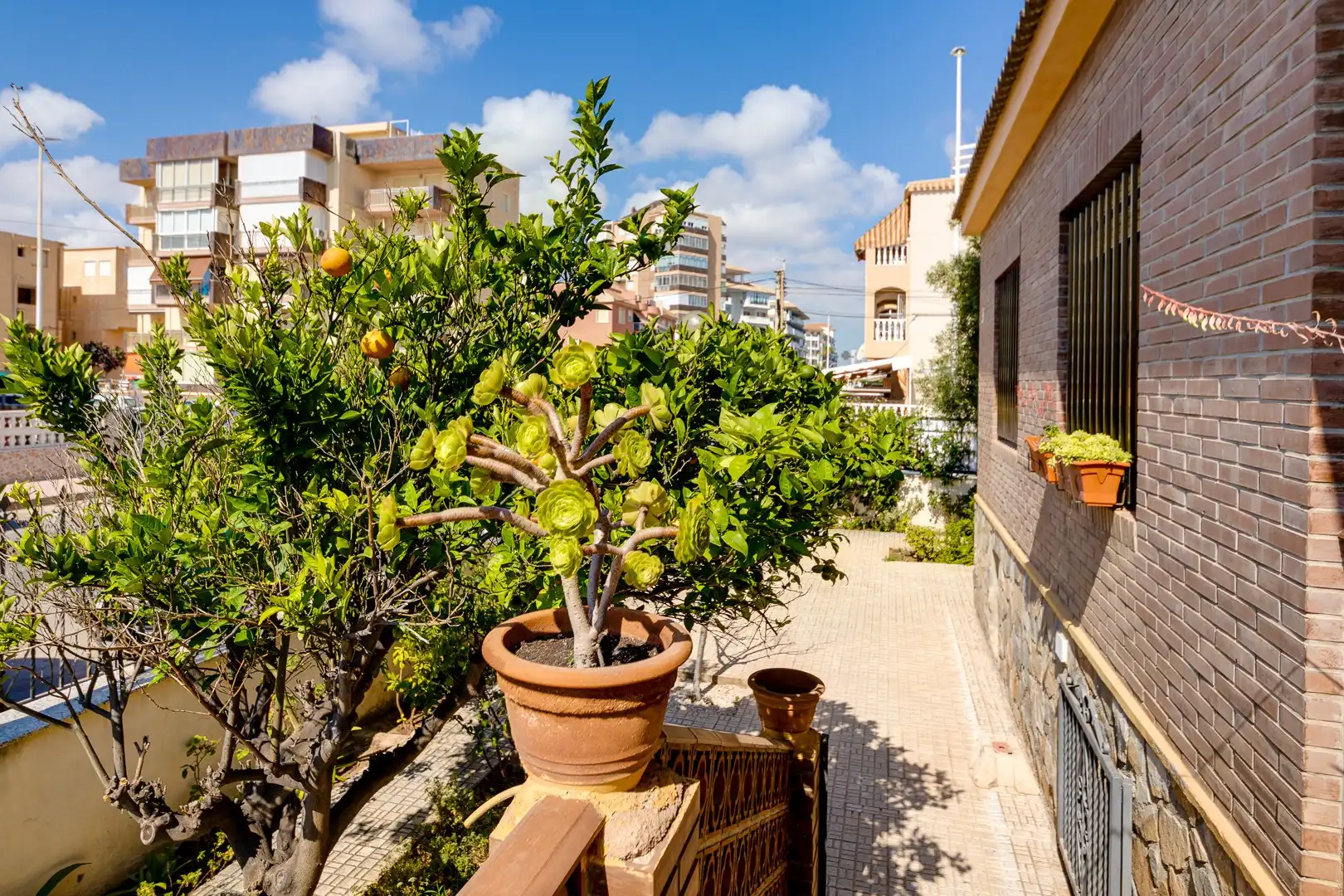 Casa en venda a La Mata, imagen 42