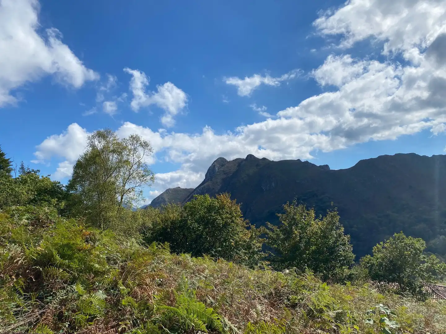 Maison avec jardin à vendre à Tresmonte, imagen 66