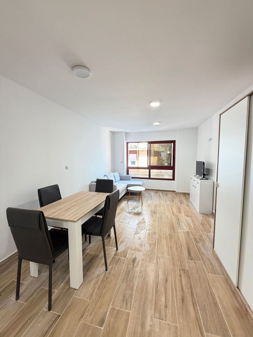 Living room of Study to rent in Castellón de la Plana / Castelló de la Plana  with Air Conditioner, Furnished and Oven