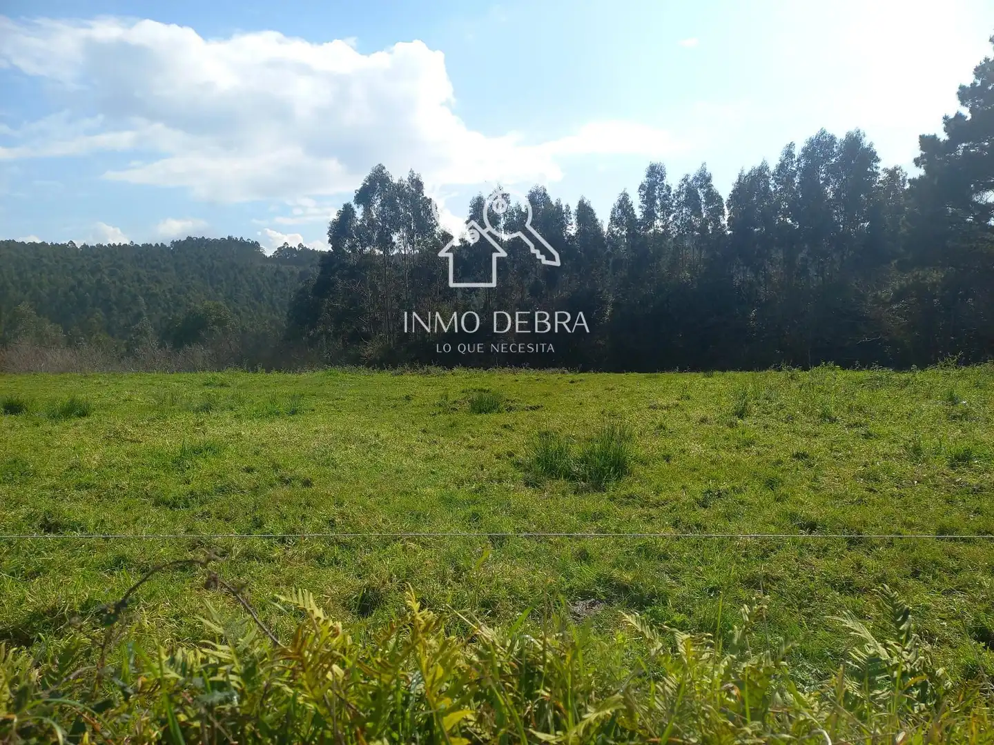 Lands and plots for sale in Soto del Barco, imagen 3