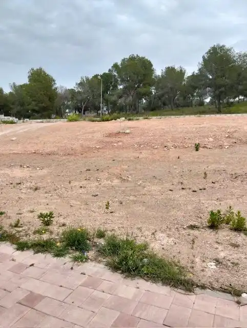Terreny residencial en venda a Avenida de la Alberca, imagen 5