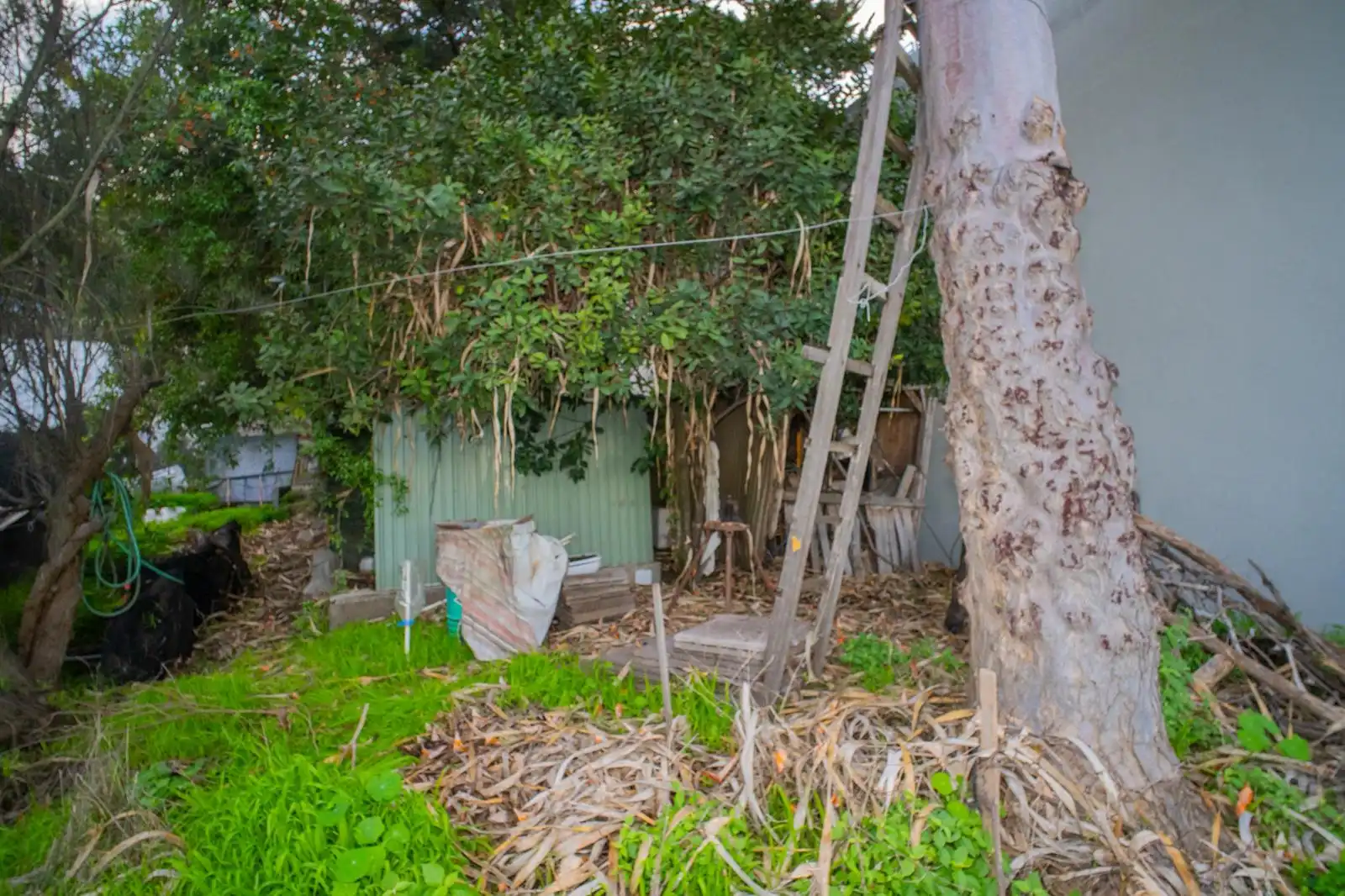 Residential zum Verkauf in Carretera del Centro Monte Lentiscal, 66, Los Alvarados - Fuente los Berros - Bandama