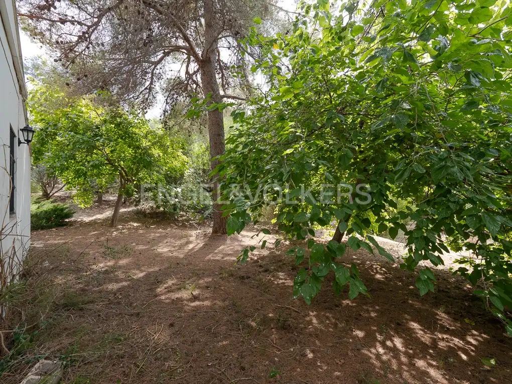 Houses for sale in Carcaixent  with Heating, Private garden and Terrace