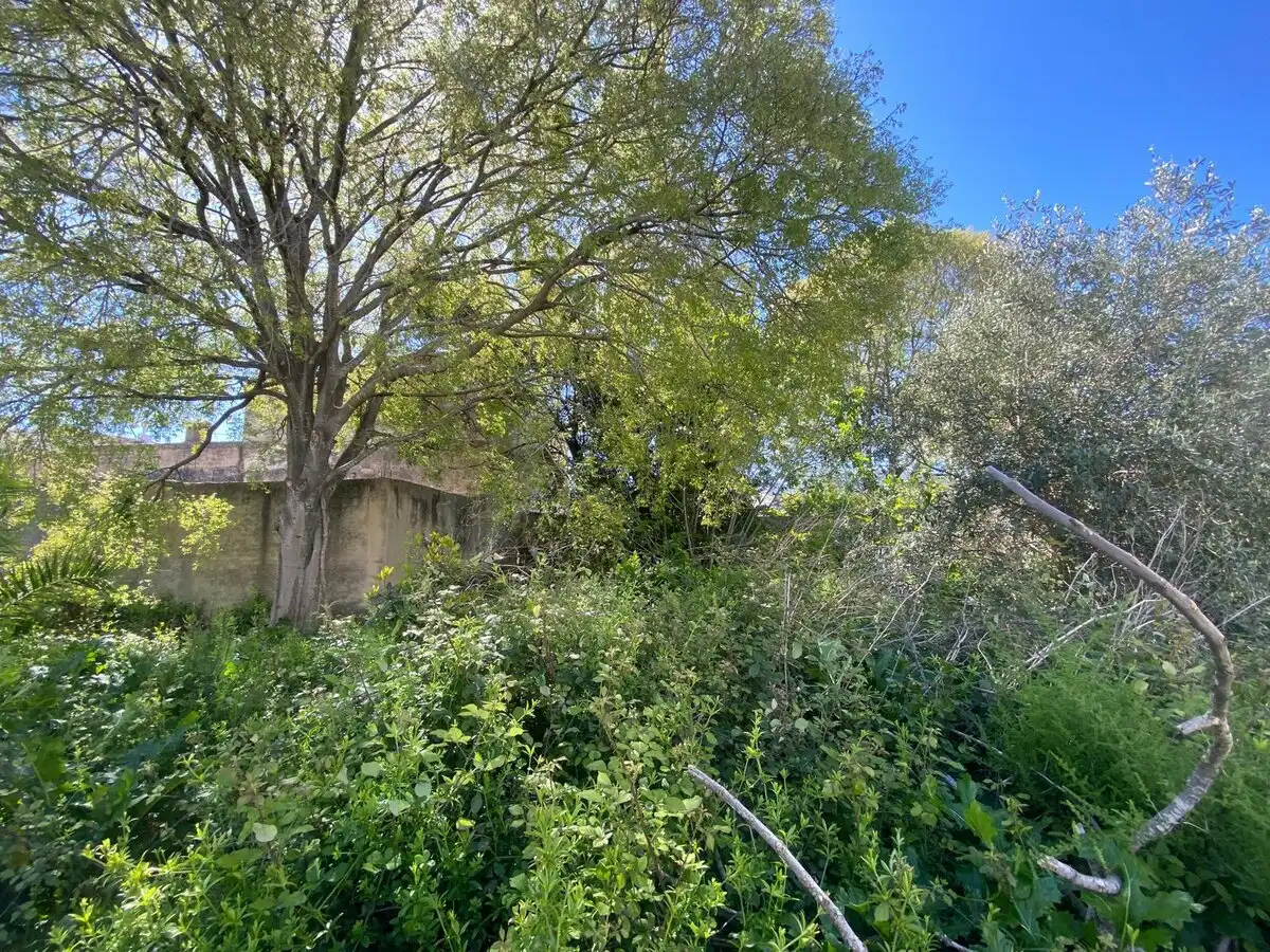 Casa o xalet en venda en Gata de Gorgos amb Terrassa i Traster