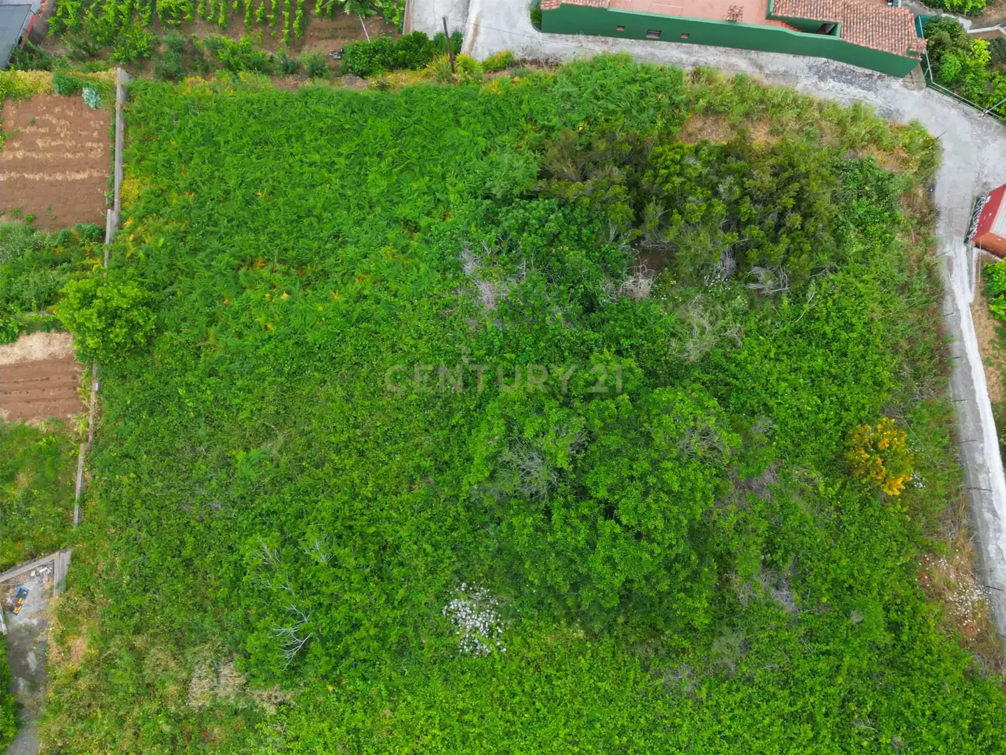 Terreno rustico in vendita a Calle Alzados Guanches, La Orotava, Spain, imagen 12