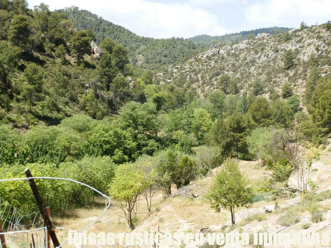 Rural land for sale in Letur, imagen 13