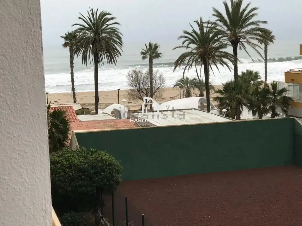 Studio with pool for sale in Santa Margarita, imagen 15