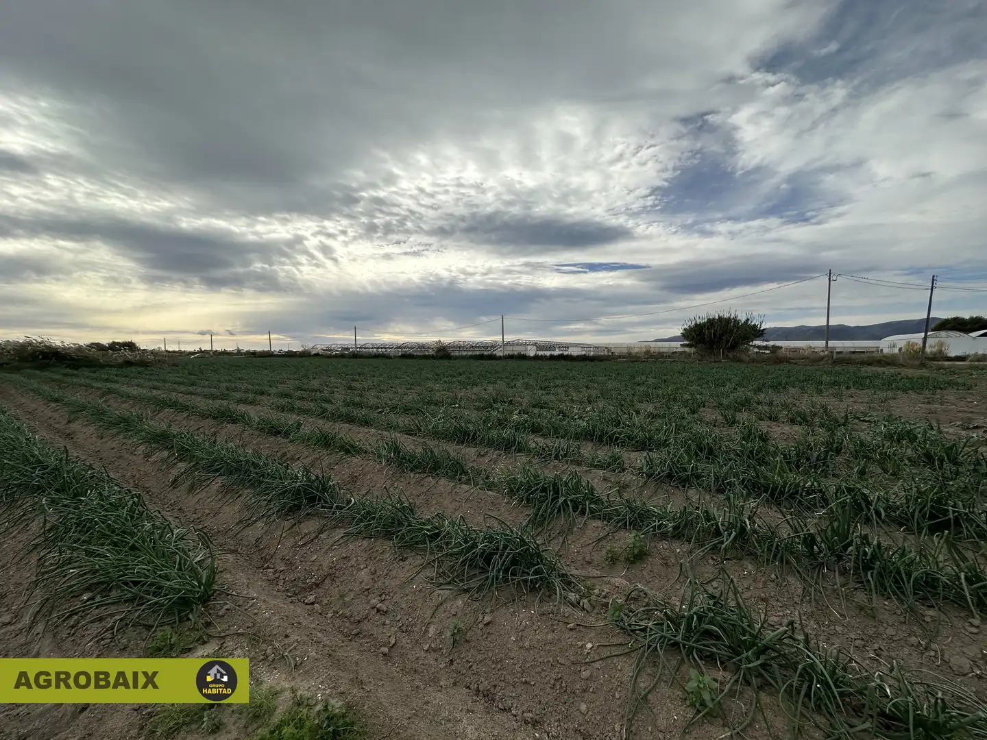 Rural land for sale in Torrent Ballester, imagen 4