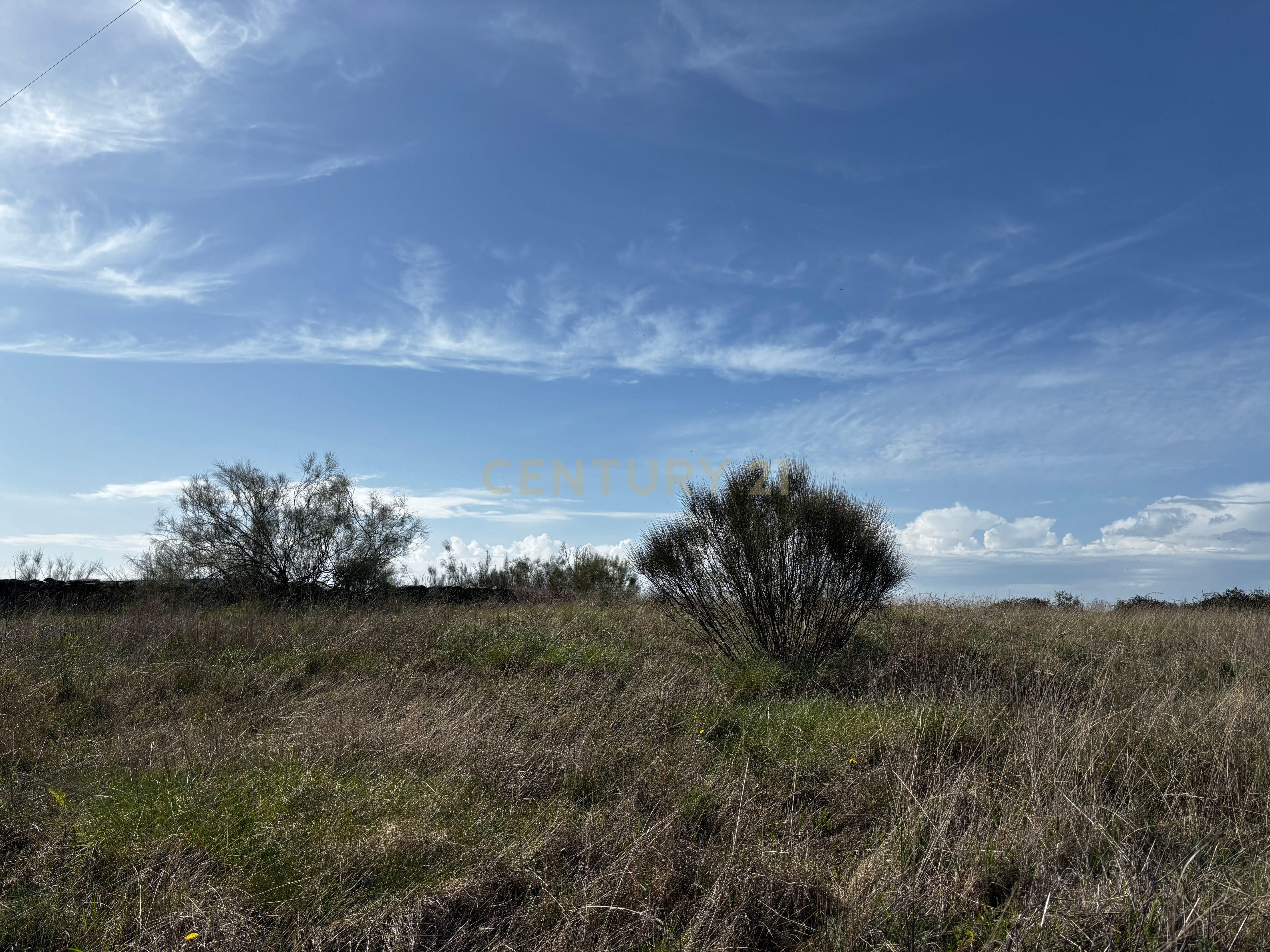 Land for sale in Guijo de Coria