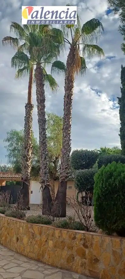 Jardín de Casa o chalet en venta en Chiva con Jardín privado