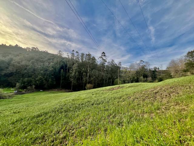 Terreno residencial en Venta en Omoño - LA REVOLTONA, SN en Ribamontán al Monte