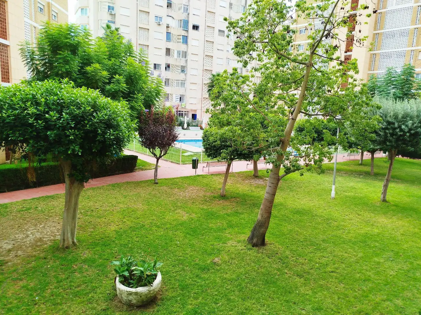 Garten von Wohnung zur Miete in La Pobla de Farnals mit Terrasse, Schwimmbad und Möbliert