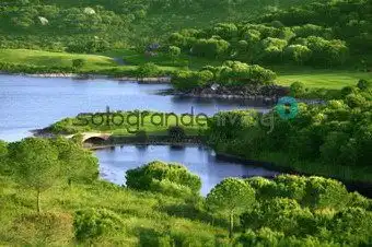 Terrenys i solars en venda a Sotogrande Alto, imagen 5