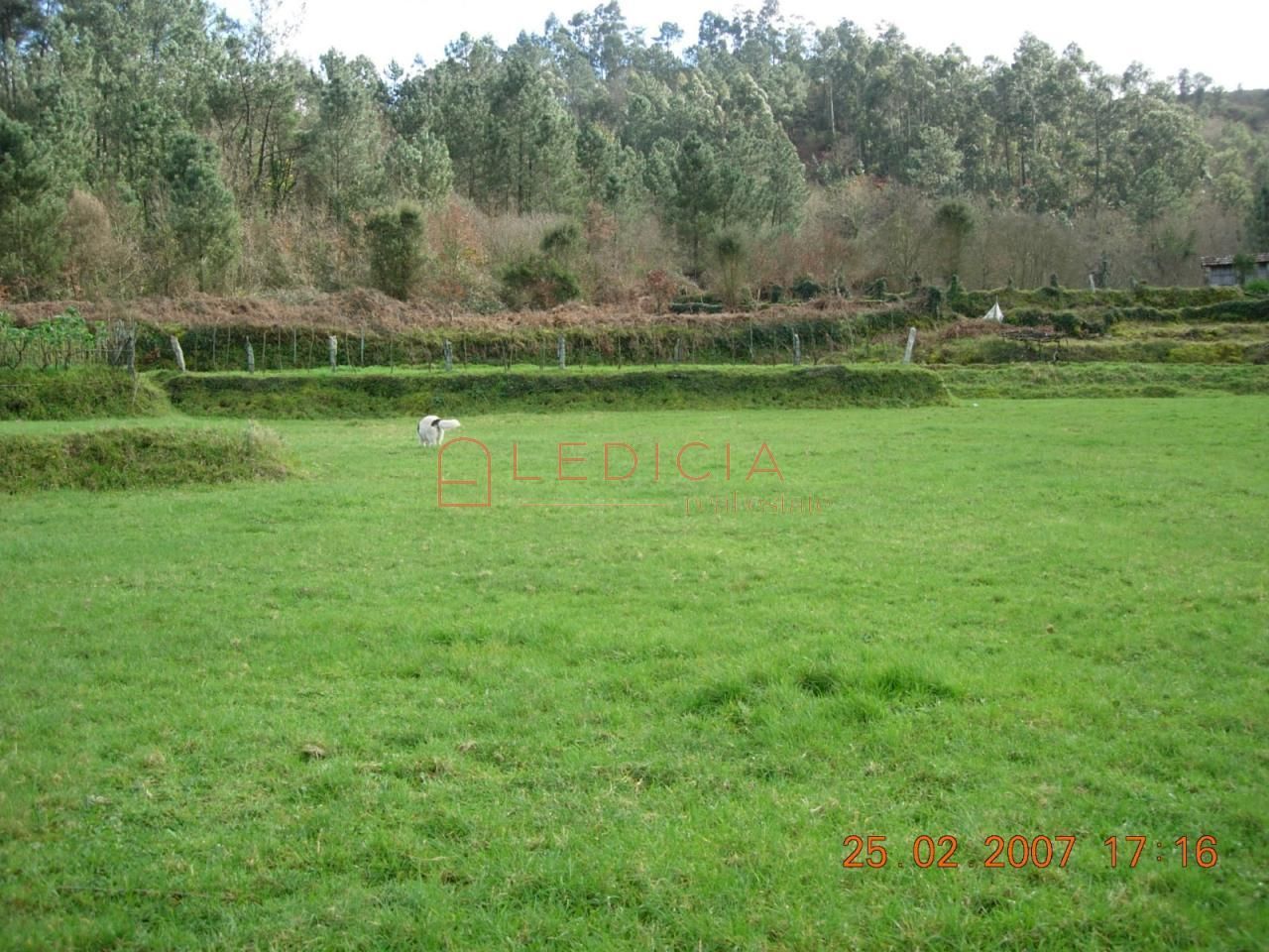 Residential for sale in Crecente