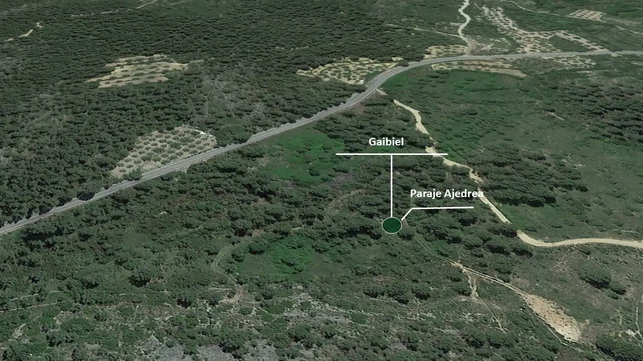 Land for sale in Gaibiel