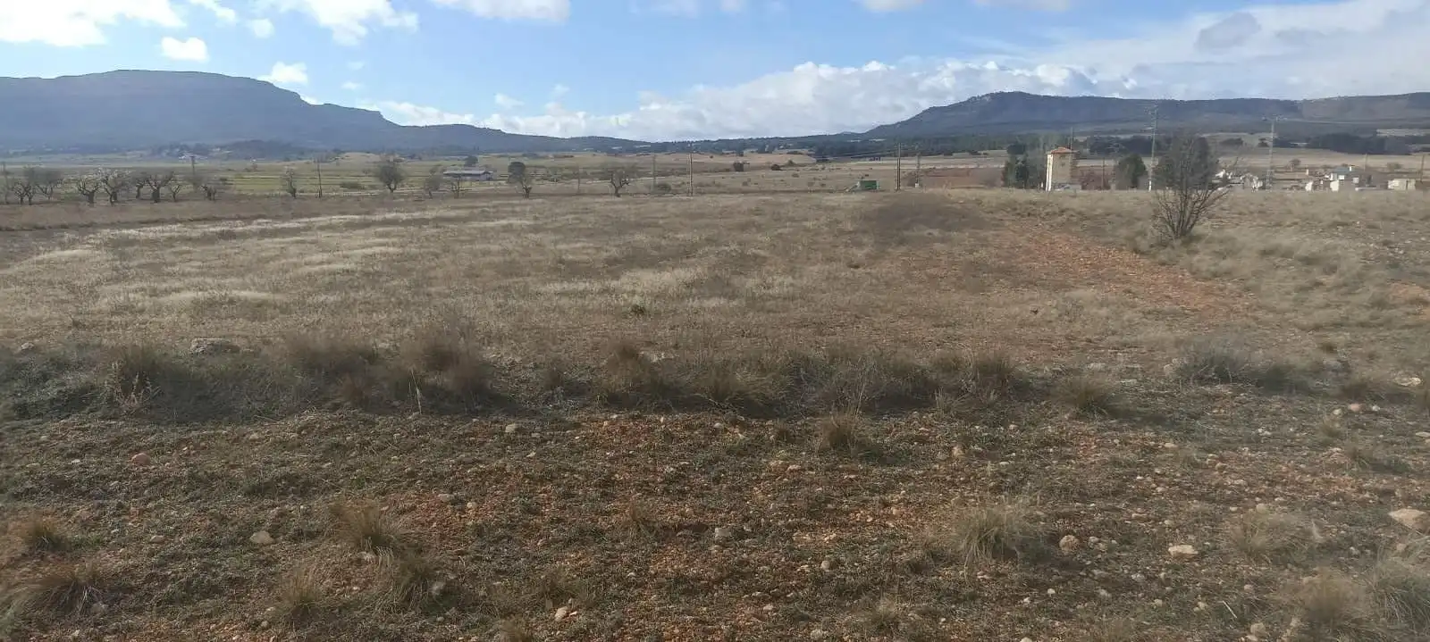 Terreny rústic en venda a Ayora