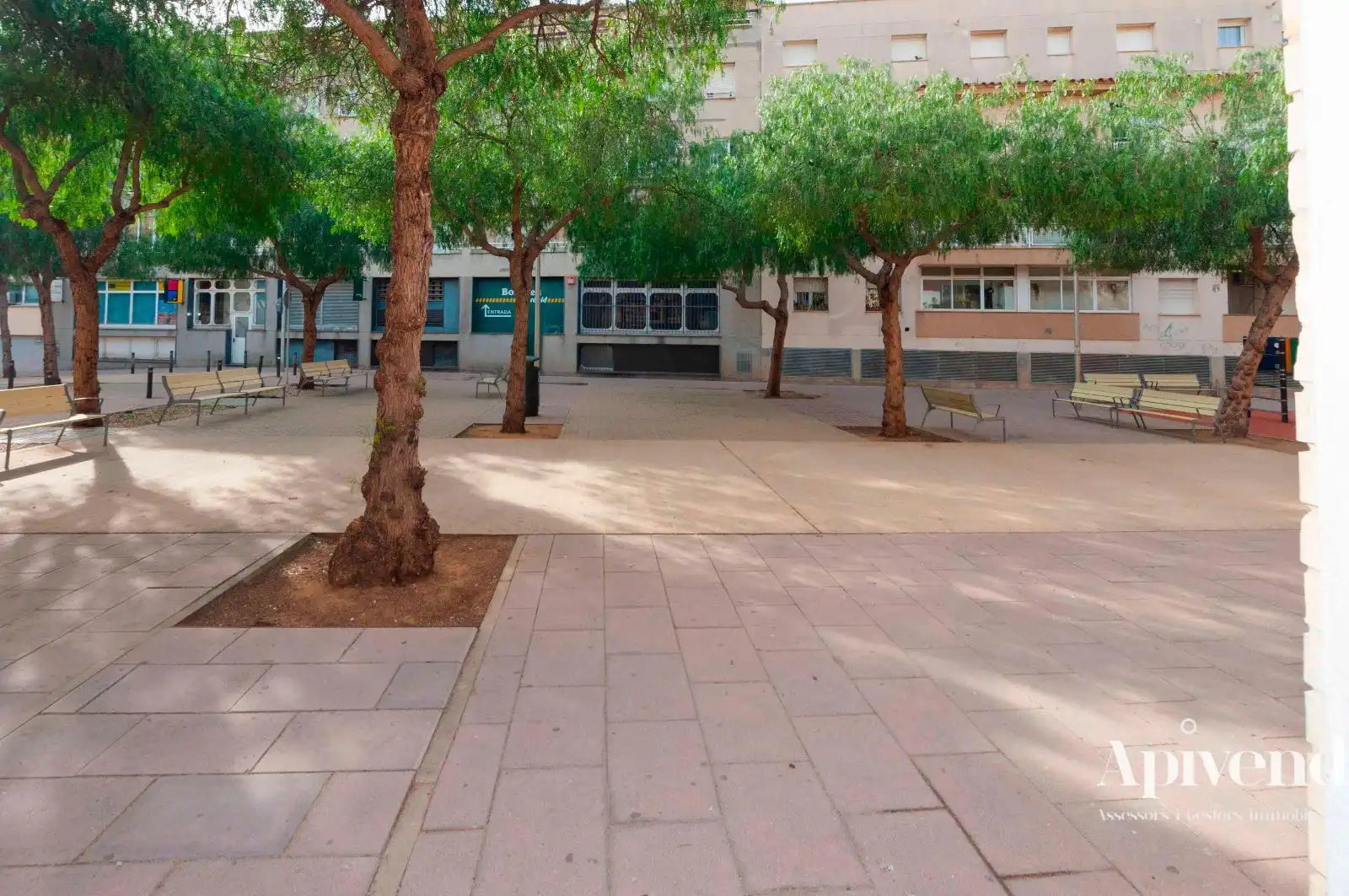Locale commerciale in vendita a Puig Rom