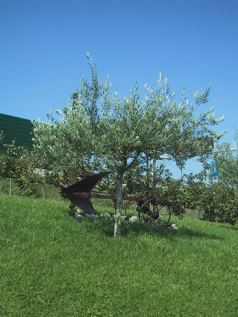 Garden of Land for sale in Donostia - San Sebastián 