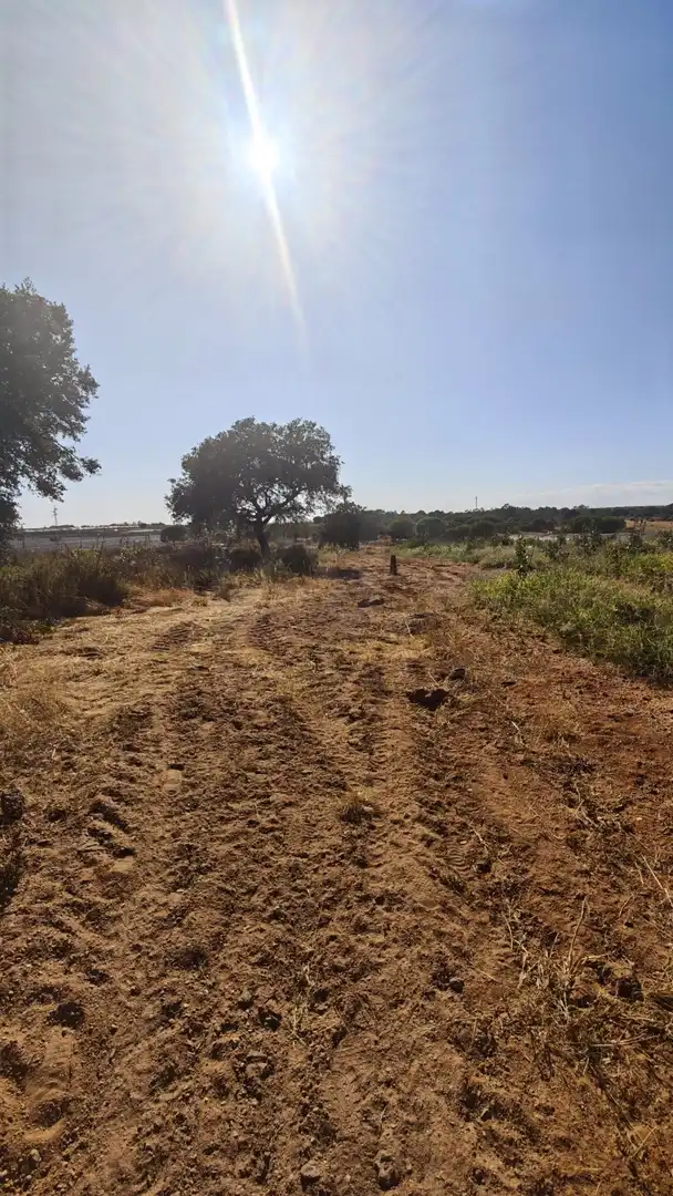 Terreni e lotti in vendita a Villablanca, imagen 5