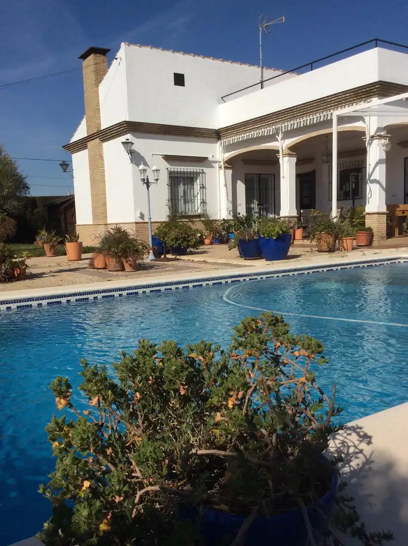 Piscina de Casa o xalet en venda en Espartinas amb Aire condicionat, Calefacció i Jardí privat
