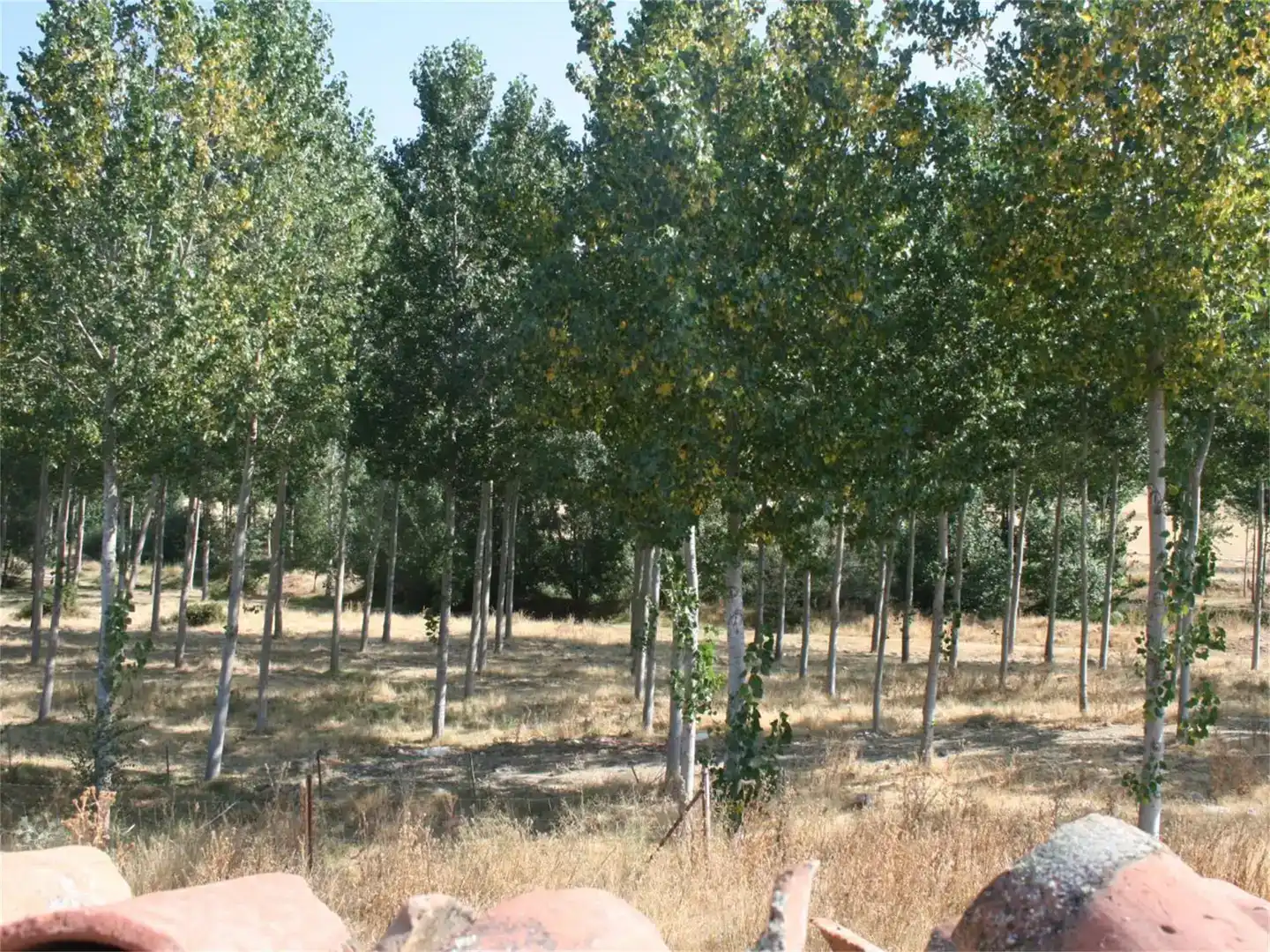 Finca rústica en venda en Gajates amb Jardí privat i Moblat