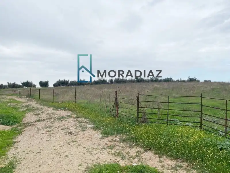 Rustikales Grundstück zum Verkauf in La Haba, imagen 2