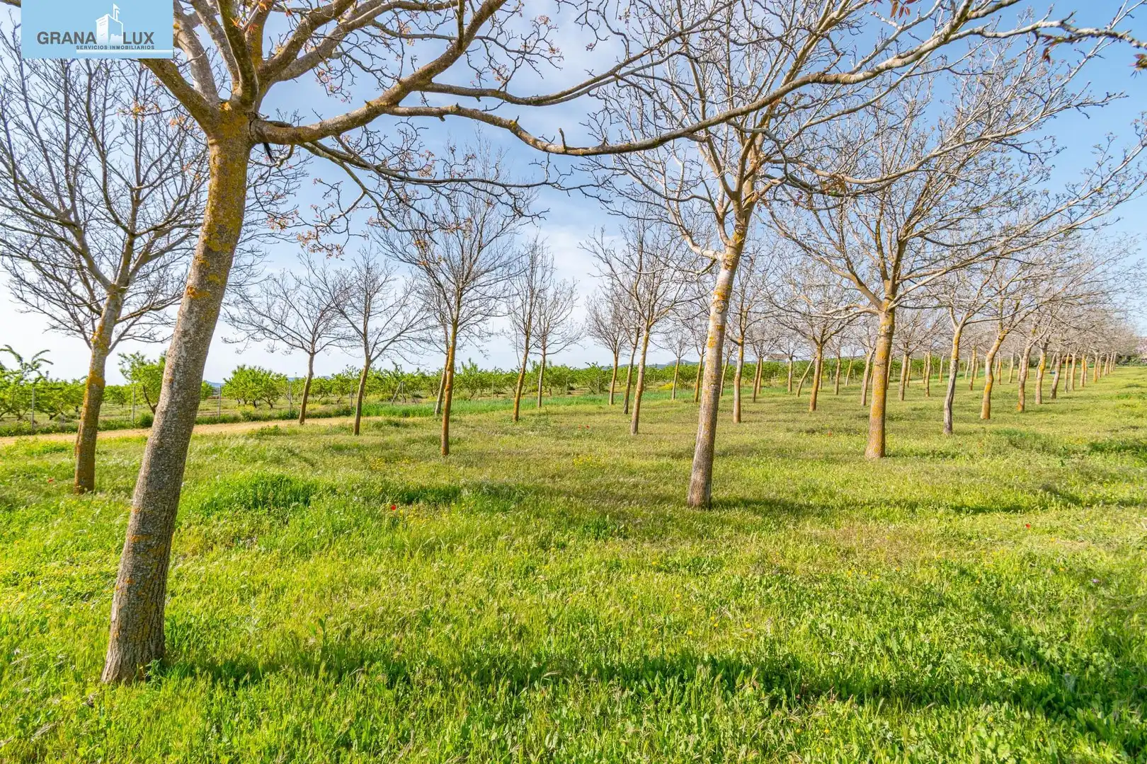 Rural land for sale in 18640, imagen 13