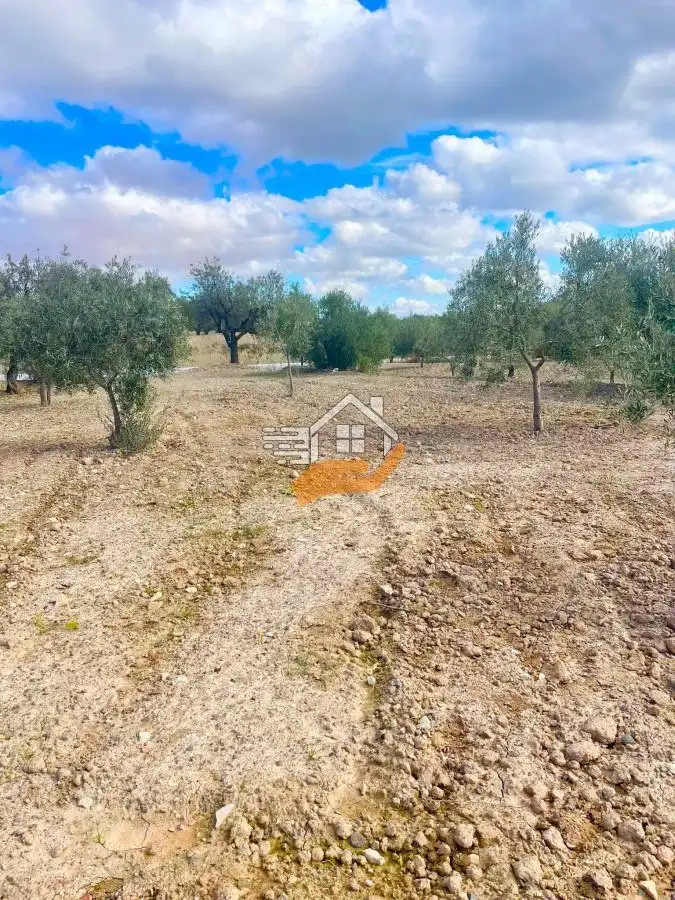 Residential land for sale in Vélez-Rubio, imagen 15