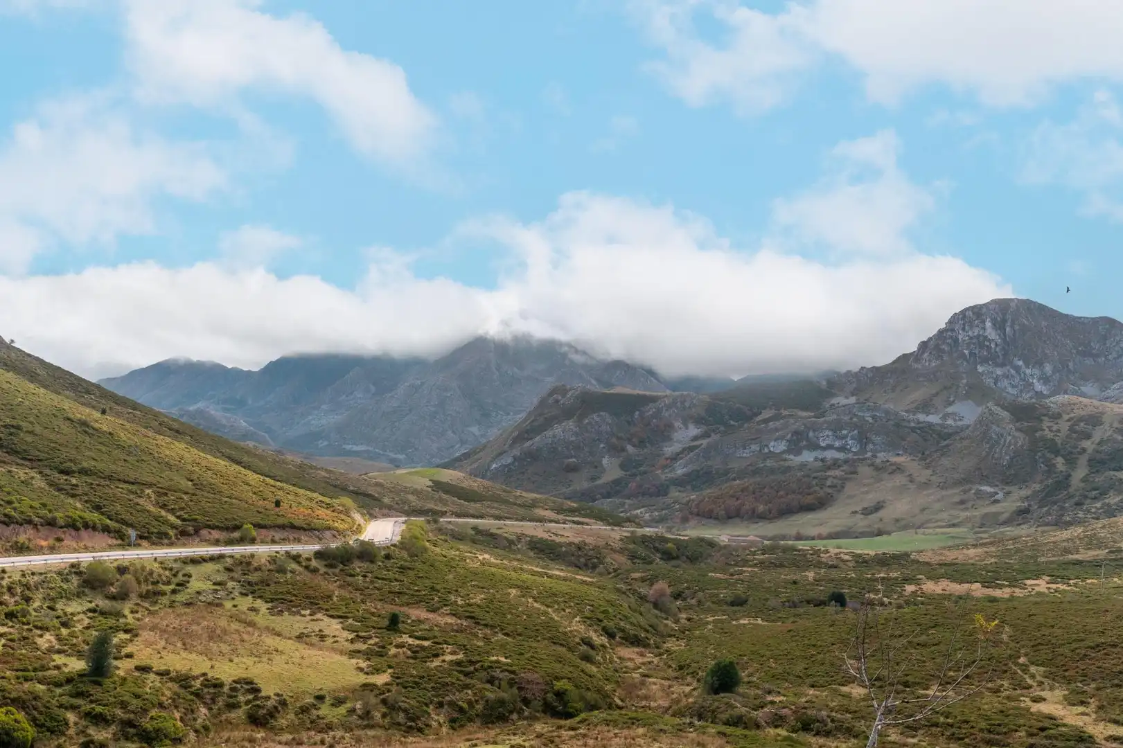 Vista exterior de Casa o chalet en venta en Burón con Jardín privado y Amueblado