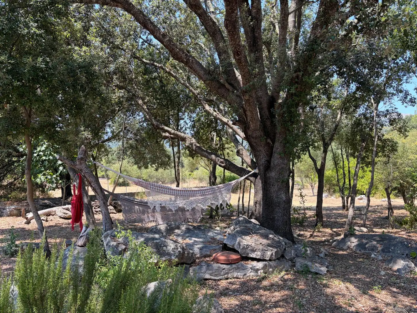 Jardí de Finca rústica en venda en Campanet amb Aire condicionat, Calefacció i Jardí privat