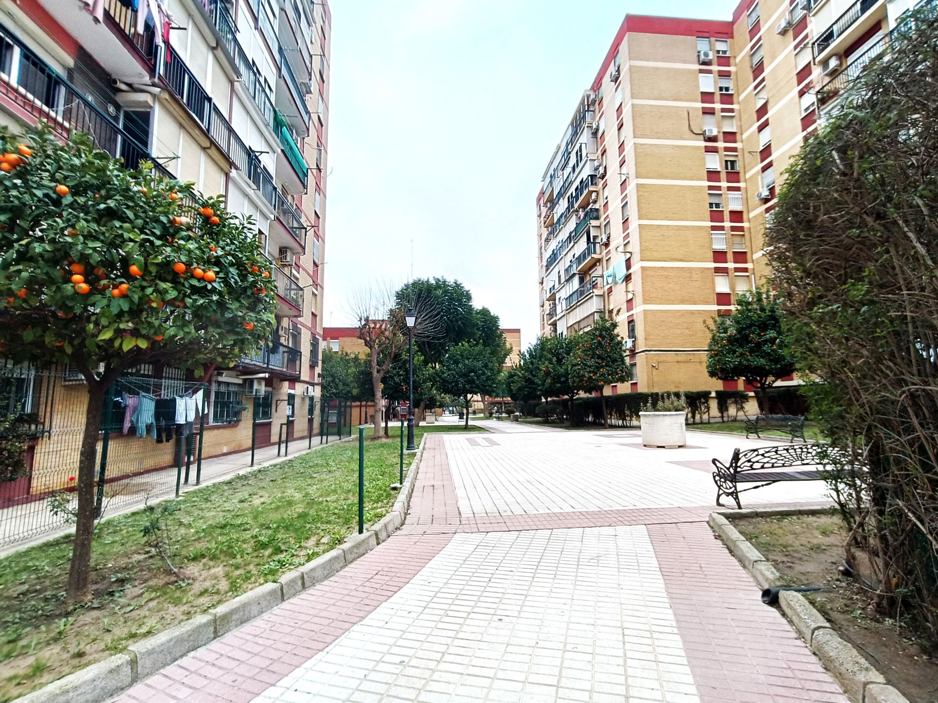 Exterior view of Flat for sale in Castilleja de la Cuesta  with Air Conditioner, Terrace and Storage room