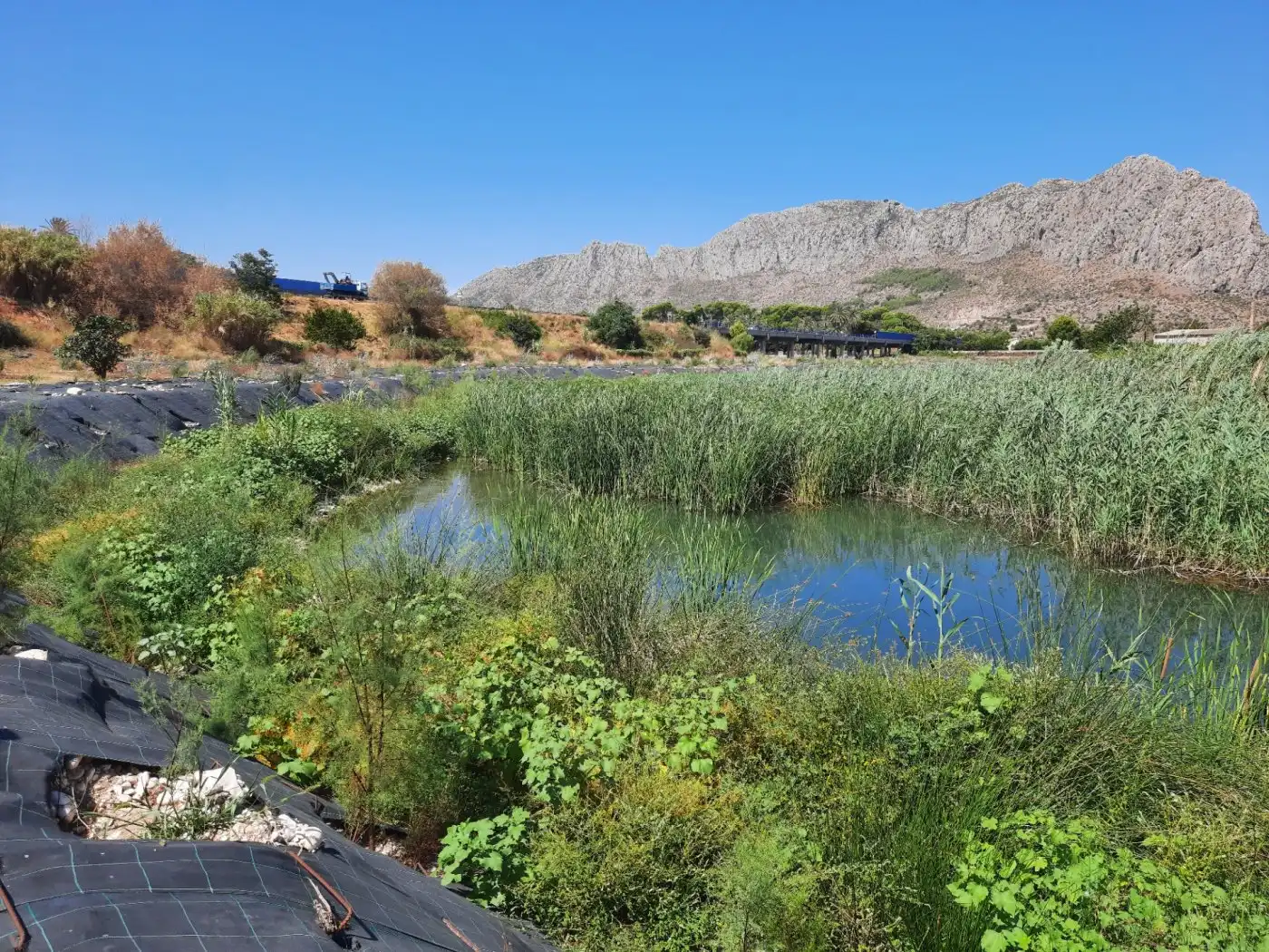 Vista exterior de Finca rústica en venta en Ondara con Aire acondicionado, Calefacción y Jardín privado