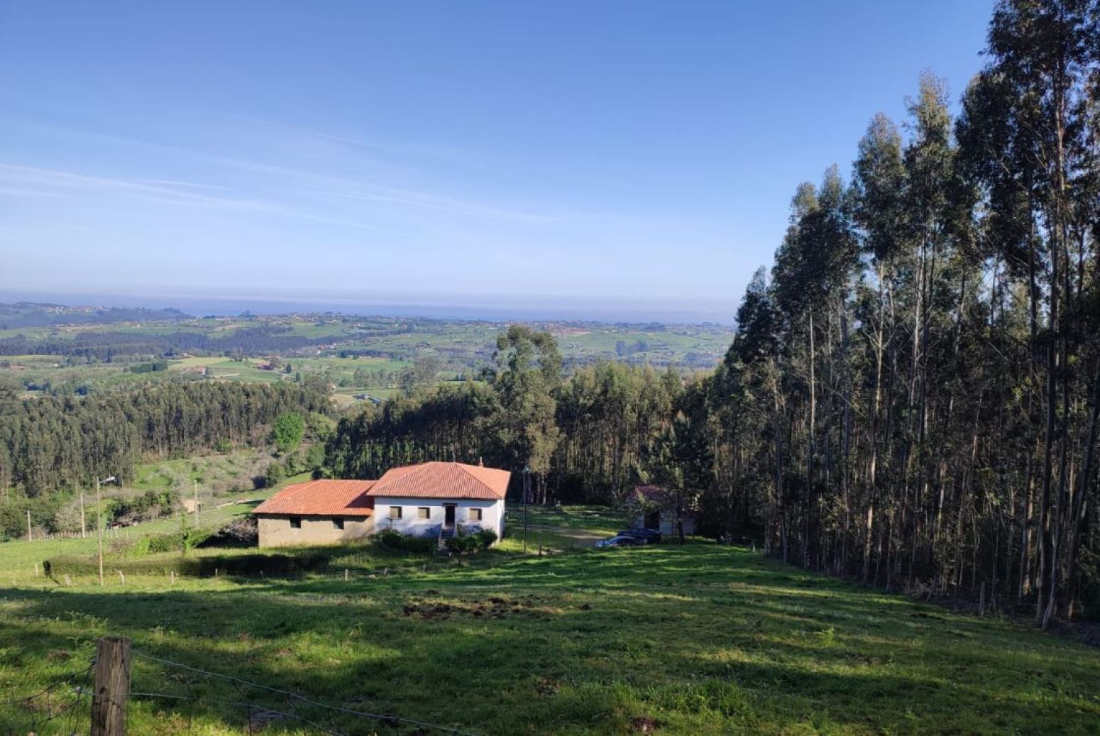 Exterior view of House or chalet for sale in Villaviciosa  with Private garden