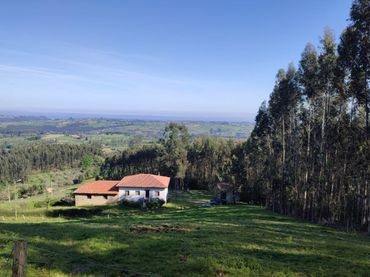 Haus mit Garten zum Verkauf in AL CABAÑAS