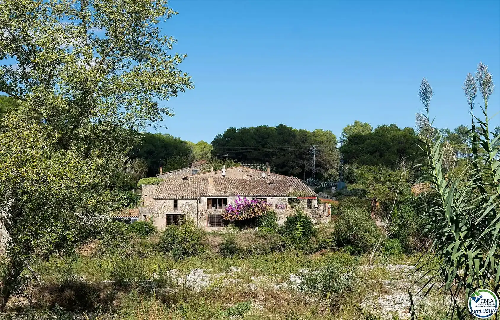 Casa con piscina en venta en Calle Cal Barquer s/n, imagen 5