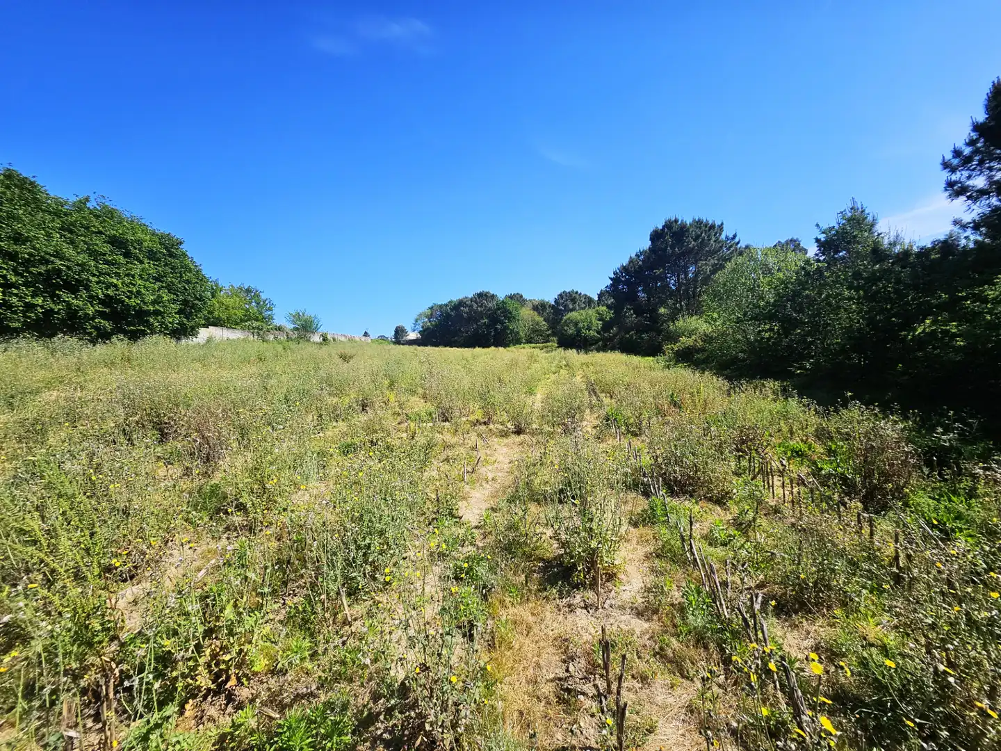 Terreno en venta en Culleredo