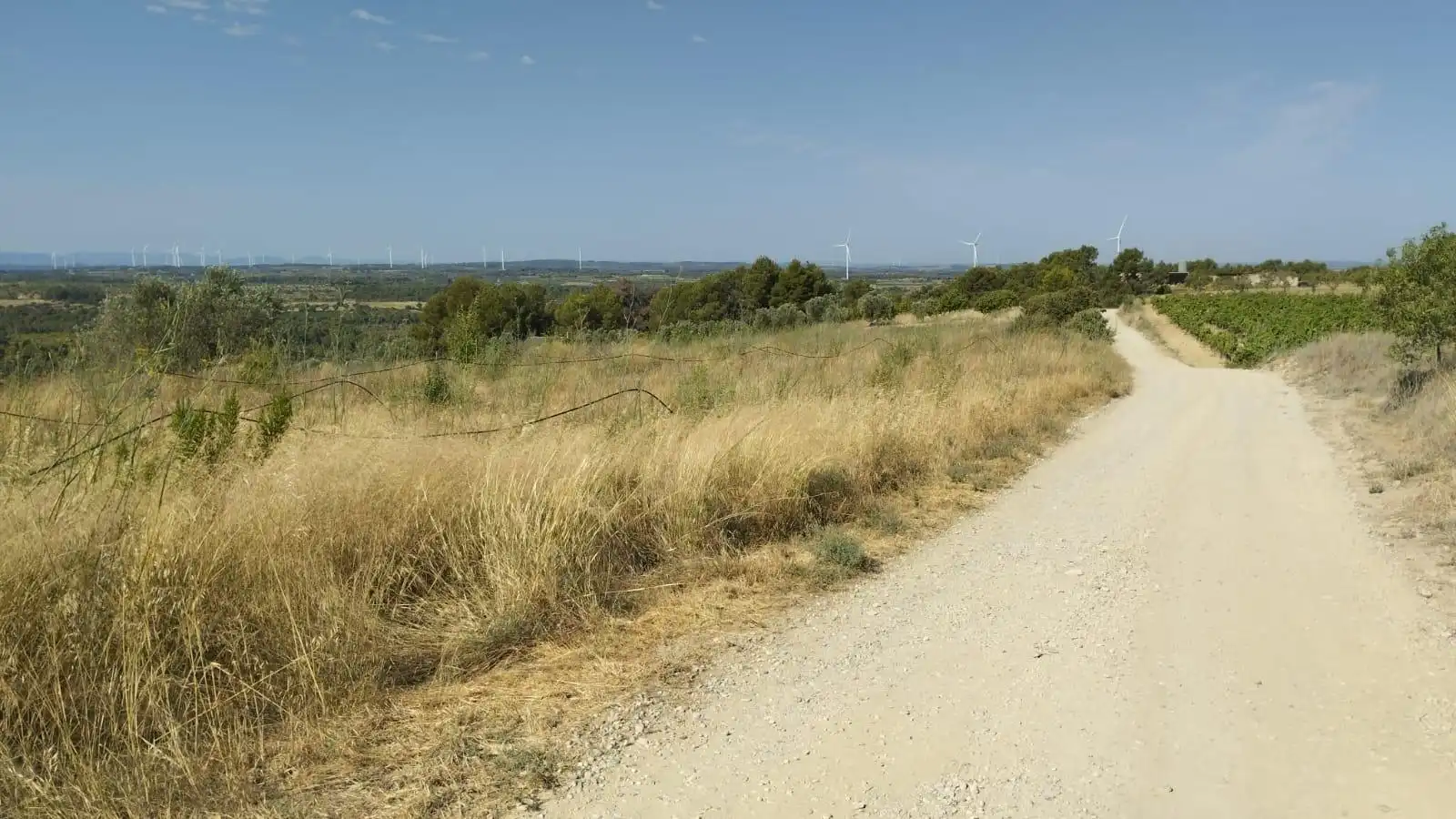 Terreno rústico en venta en Vilalba dels Arcs, imagen 15