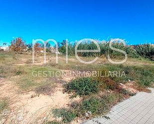 Land for sale in Sollana
