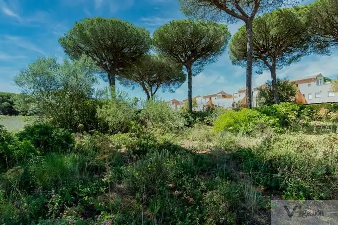Terrenys i solars en venda a Novo Sancti Petri, imagen 13